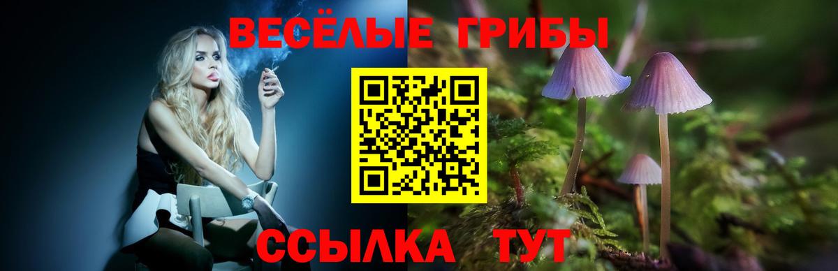 Псилоцибиновые грибы Psilocybine cubensis  Псилоцибиновые грибы мицелий  Буйнакск  Вход с VPN 